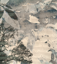 WOMEN'S TSHIRT M/M 7033/1370205 Tellini S.r.l. Wholesale Clothing